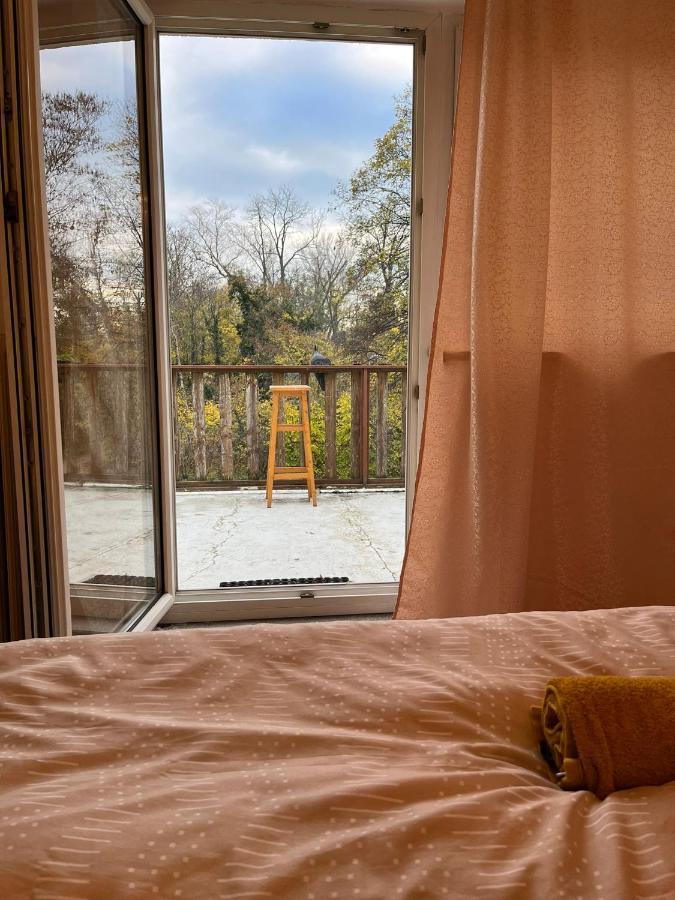Breathtaking Shared Villa Near Danube River /W Garden And Parking Viyana Dış mekan fotoğraf
