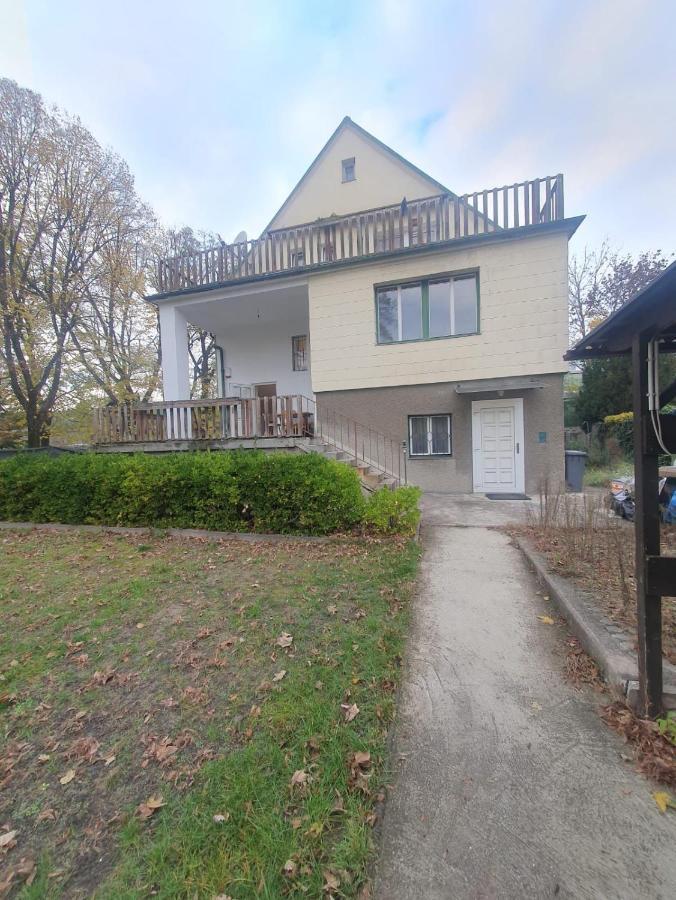 Breathtaking Shared Villa Near Danube River /W Garden And Parking Viyana Dış mekan fotoğraf