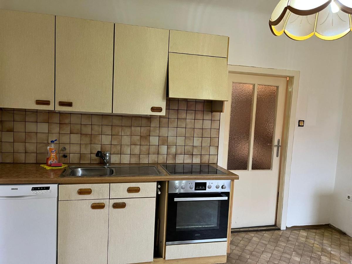 Breathtaking Shared Villa Near Danube River /W Garden And Parking Viyana Dış mekan fotoğraf
