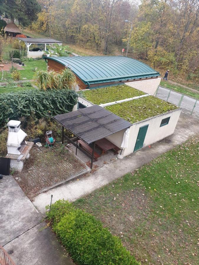 Breathtaking Shared Villa Near Danube River /W Garden And Parking Viyana Dış mekan fotoğraf
